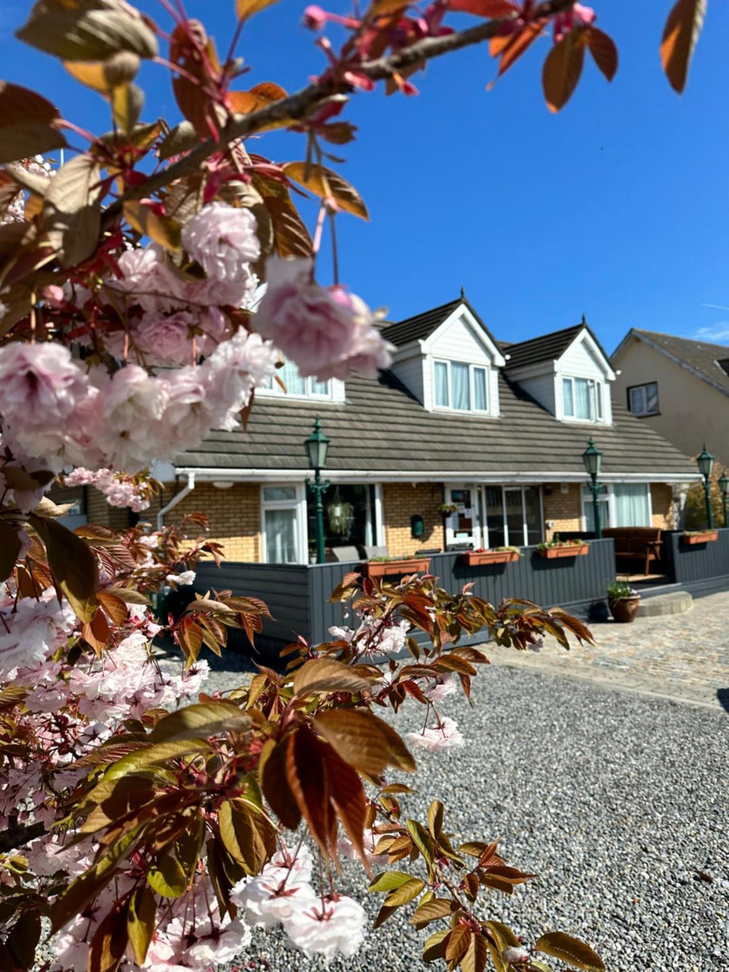 Malahide Guest Rooms Exteriör bild